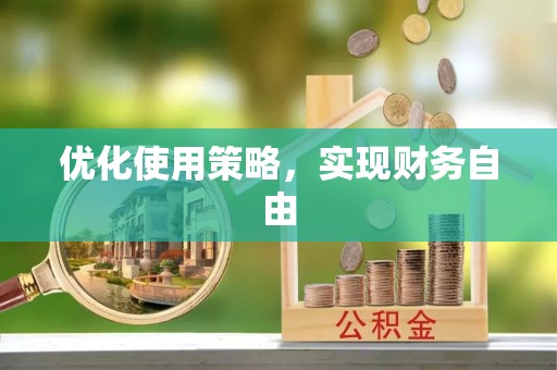 宁蒗优化使用策略，实现财务自由