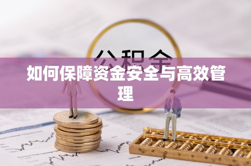 宁蒗如何保障资金安全与高效管理