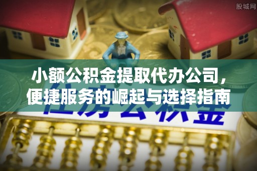 宁蒗小额公积金提取代办公司，便捷服务的崛起与选择指南