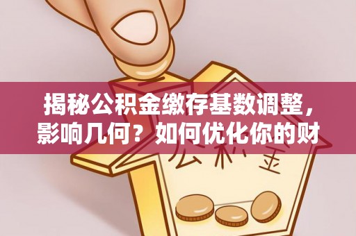 宁蒗揭秘公积金缴存基数调整，影响几何？如何优化你的财务规划？