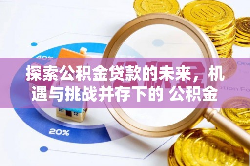 宁蒗探索公积金贷款的未来，机遇与挑战并存下的 公积金贷款风险防控