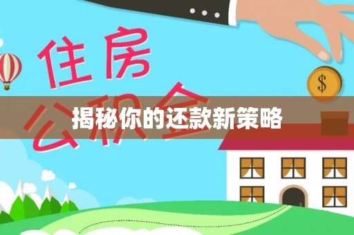 宁蒗揭秘你的还款新策略