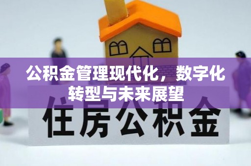 宁蒗公积金管理现代化，数字化转型与未来展望