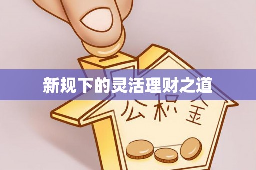 宁蒗新规下的灵活理财之道