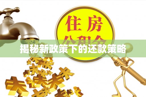 宁蒗揭秘新政策下的还款策略
