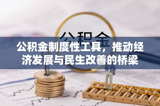 宁蒗公积金制度性工具，推动经济发展与民生改善的桥梁