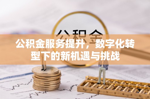宁蒗公积金服务提升，数字化转型下的新机遇与挑战