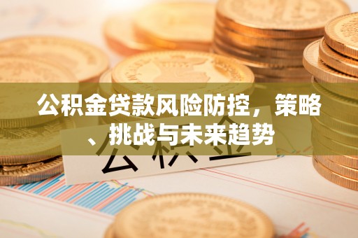 宁蒗公积金贷款风险防控，策略、挑战与未来趋势