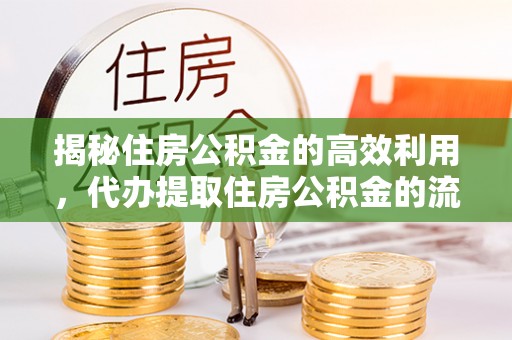 宁蒗揭秘住房公积金的高效利用，代办提取住房公积金的流程与技巧
