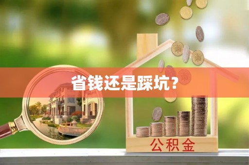 宁蒗省钱还是踩坑？