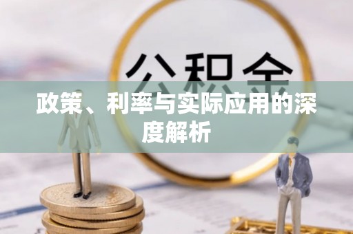 宁蒗政策、利率与实际应用的深度解析
