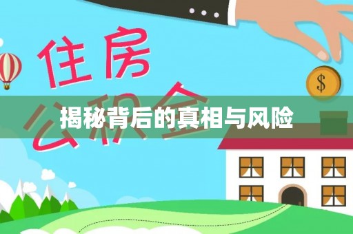 宁蒗揭秘背后的真相与风险