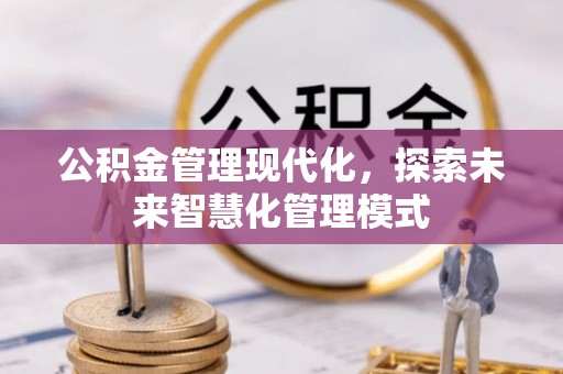 宁蒗公积金管理现代化，探索未来智慧化管理模式