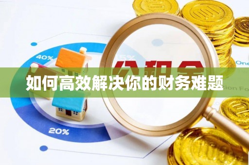 宁蒗如何高效解决你的财务难题