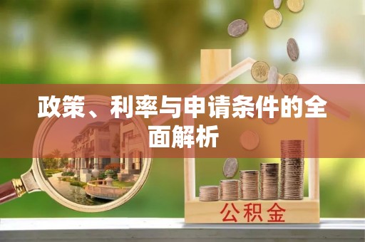 宁蒗政策、利率与申请条件的全面解析