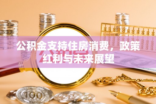 宁蒗公积金支持住房消费，政策红利与未来展望
