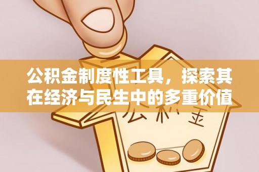 宁蒗公积金制度性工具，探索其在经济与民生中的多重价值
