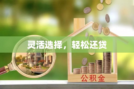 宁蒗灵活选择，轻松还贷