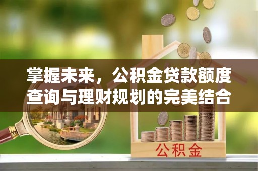 宁蒗掌握未来，公积金贷款额度查询与理财规划的完美结合