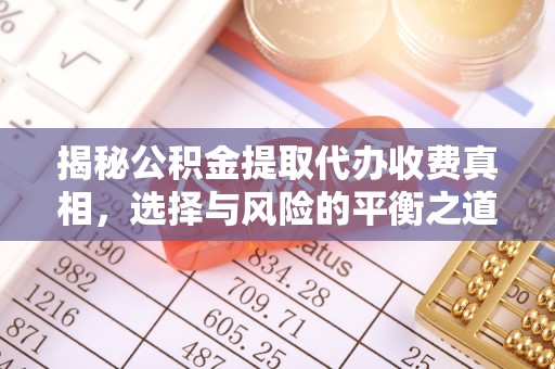 宁蒗揭秘公积金提取代办收费真相，选择与风险的平衡之道