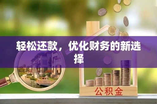 宁蒗轻松还款，优化财务的新选择