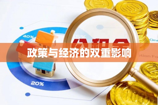 宁蒗政策与经济的双重影响