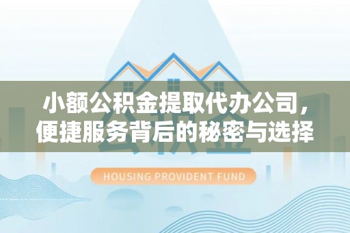 宁蒗小额公积金提取代办公司，便捷服务背后的秘密与选择指南