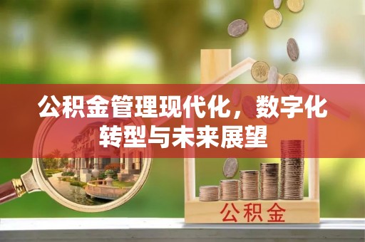 宁蒗公积金管理现代化，数字化转型与未来展望