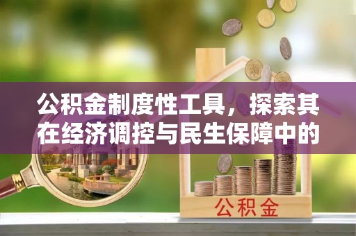 宁蒗公积金制度性工具，探索其在经济调控与民生保障中的重要作用