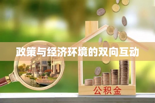 宁蒗政策与经济环境的双向互动