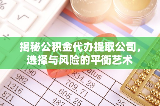 宁蒗揭秘公积金代办提取公司，选择与风险的平衡艺术