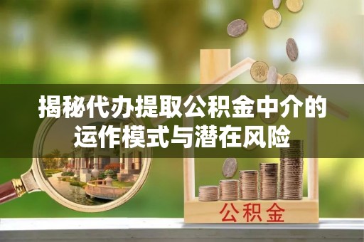 宁蒗揭秘代办提取公积金中介的运作模式与潜在风险