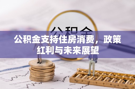 宁蒗公积金支持住房消费，政策红利与未来展望