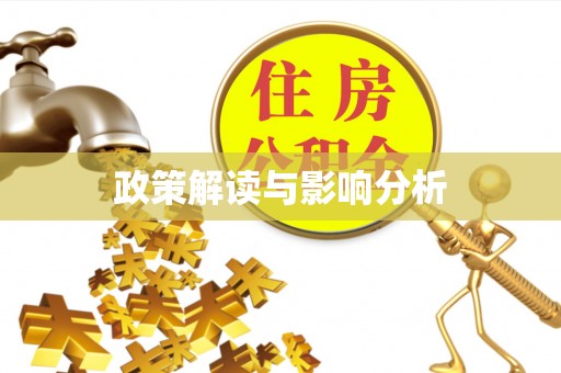 宁蒗政策解读与影响分析