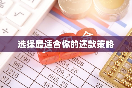 宁蒗选择最适合你的还款策略