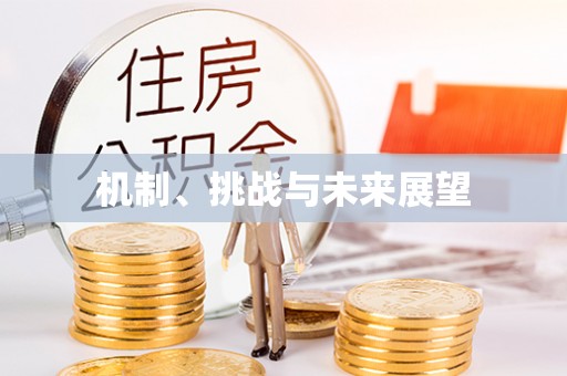 宁蒗机制、挑战与未来展望