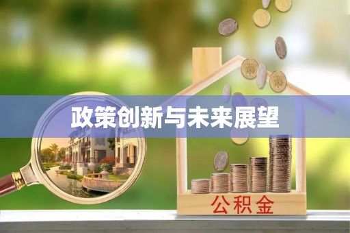 宁蒗政策创新与未来展望